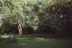 Jabulani winery ottawa wedding venue 29